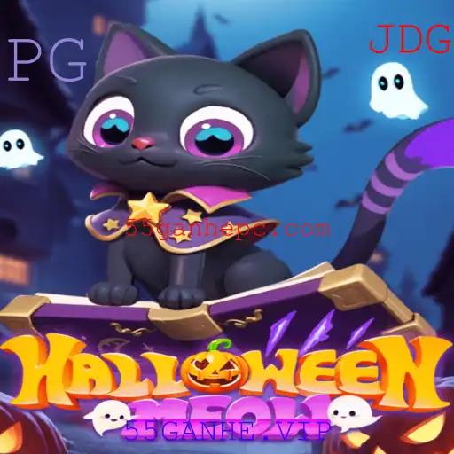 Descubra HalloweenMeow: O Jogo que Combina Diversão e Emoção